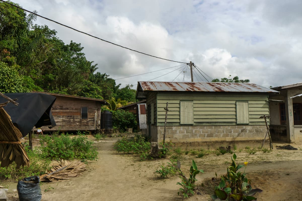Thatched houses in a Maroon village in the interior of Suriname